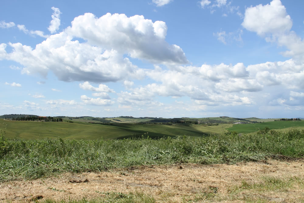 Tuscan Landscape